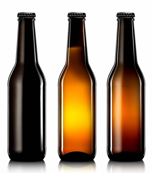 Set of beer bottles isolated