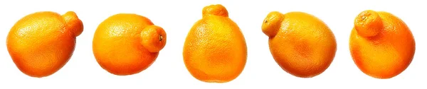 Mandarijn, tangerine citrusvruchten geïsoleerd — Stockfoto