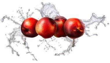 Su sıçrama izole kuru soğan ile