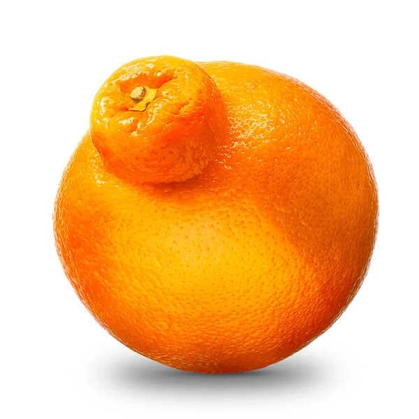 Frutos cítricos de tangerina ou mandarina simples — Fotografia de Stock