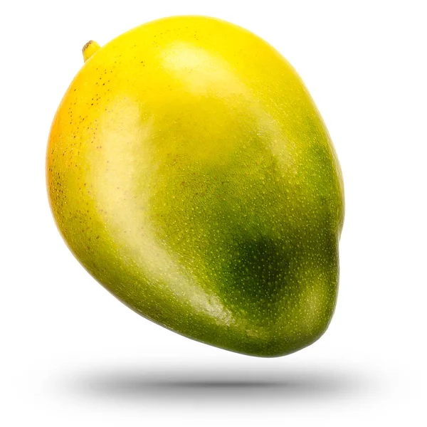 Single mango fruit isolated on white background — Stock Photo, Image