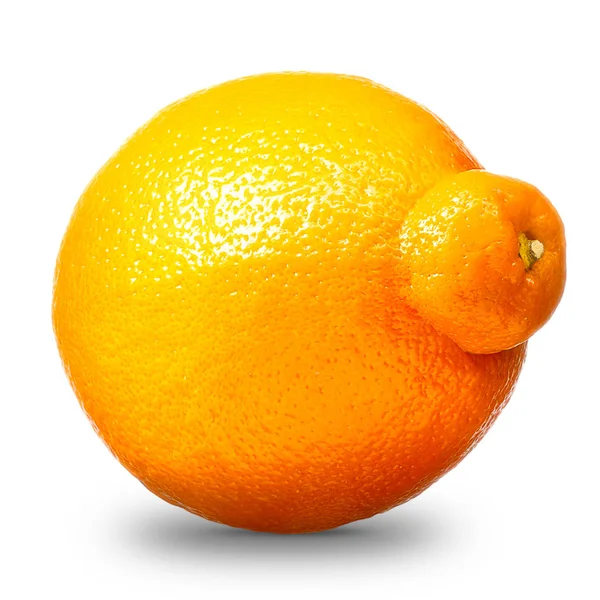 Egyetlen mandarin vagy mandarin citrusfélék — Stock Fotó