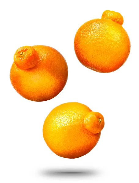 Mandarinas ou tangerinas em queda citrinos — Fotografia de Stock