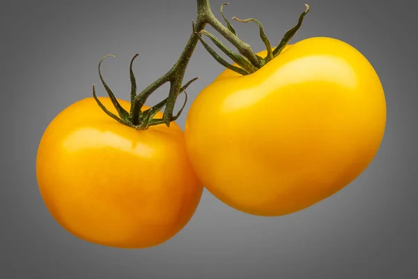 Куча желтых помидоров на сером фоне — стоковое фото