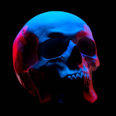 Siyah üzerine izole edilmiş neon ışıklı insan kafatasının alçı taşı modelinin ön görüntüsü