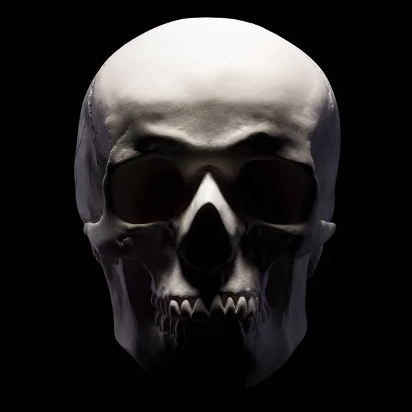 Vista frontal del modelo de yeso del cráneo humano aislado sobre fondo negro —  Fotos de Stock