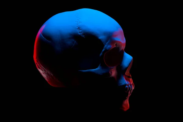 Vista laterale del modello di gesso del cranio umano in luci al neon isolate su nero — Foto Stock