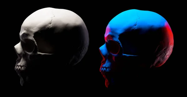 Set of gypsum model of the human skulls isolated on black background — 스톡 사진