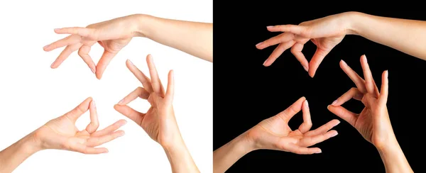 Conjunto de manos de mujeres mostrando gesto mudra o sosteniendo algo aislado en un blanco y negro — Foto de Stock