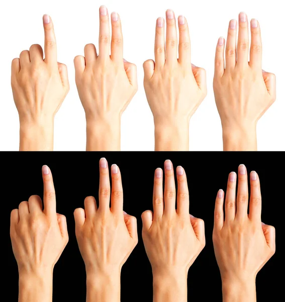 Set of woman hands count on fingers isolated on black and white background — Stockfoto