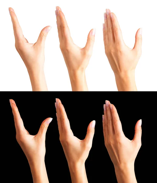 Set of womens hands taking or showing something — Stock Photo, Image