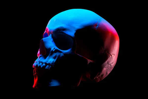 Vista lateral del modelo de yeso del cráneo humano en luces de neón aisladas en negro — Foto de Stock