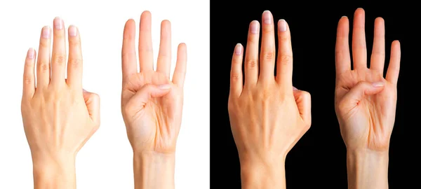 Conjunto de mãos de mulher mostrando quatro dedos e palma — Fotografia de Stock