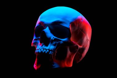 Kırpma yolu ile siyah arka planda izole edilmiş neon ışıklarda insan kafatasının alçı taşı modelinin yan görüntüsü. Terör kavramı, fizyoloji öğrenme ve çizim.