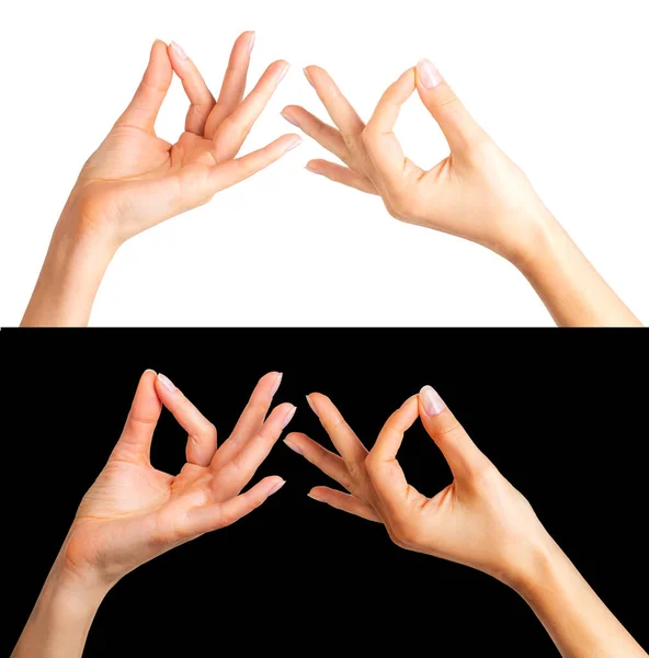 Conjunto Manos Mujer Mostrando Gesto Mudra Sosteniendo Algo Sobre Fondo — Foto de Stock