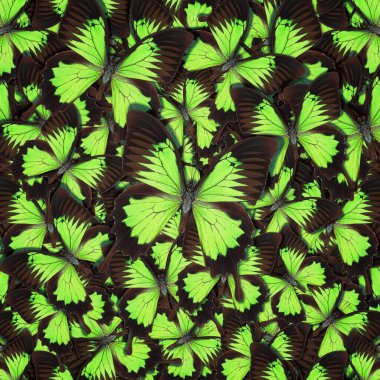 Farklı renkli kelebeklerden soyut desenli maden