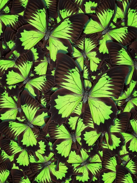 Абстрактный узор из разноцветных бабочек — стоковое фото