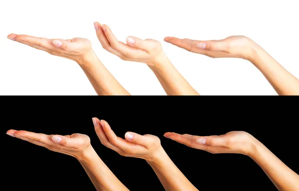 Zestaw kobiecych rąk biorących lub pokazujących coś — Zdjęcie stockowe