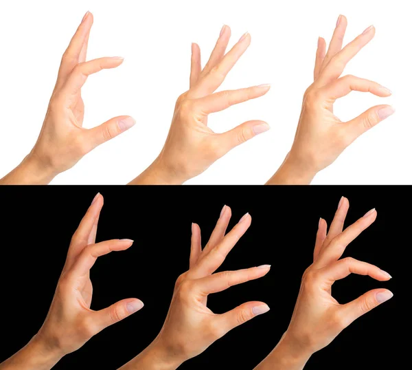Набор женских рук, показывающих жест изолированный на белом и черном — стоковое фото