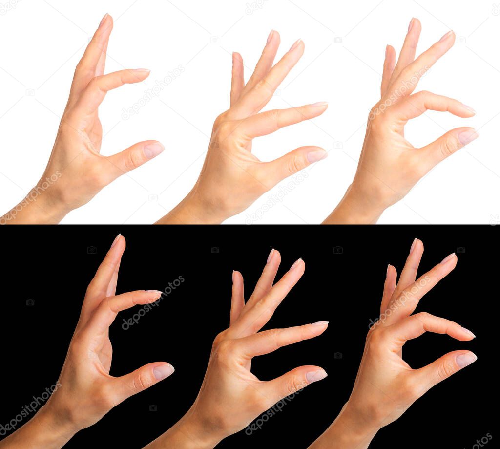 Set of women hands showing gesture isolated on a white and black