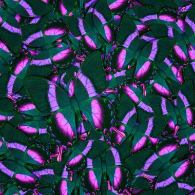 Farklı renkli kelebeklerden soyut desenli maden