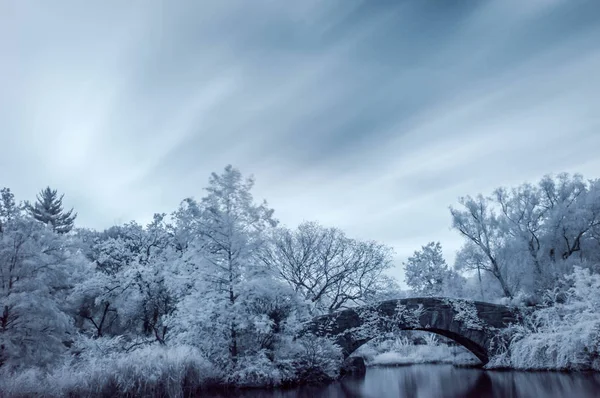 Kızılötesi Central Park