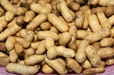 birçok Fıstık kabukları