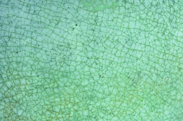 亀裂テクスチャを緑青磁/背景 — ストック写真