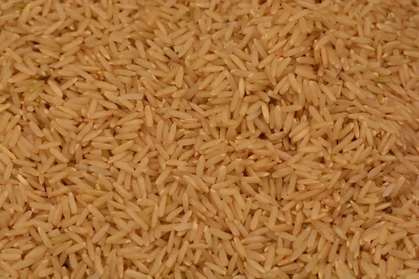 Jasmine Brown Rice close-up — Stock Photo, Image