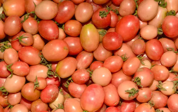 Fotoğraf çok taze domates — Stok fotoğraf