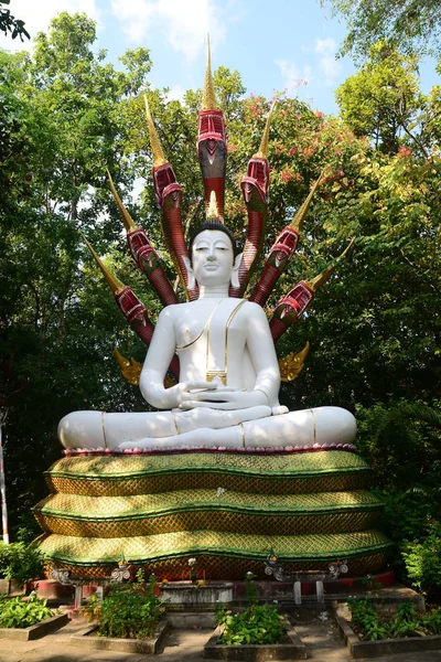 Buddha i meditation under en sju-rubricerad berättelse — Stockfoto