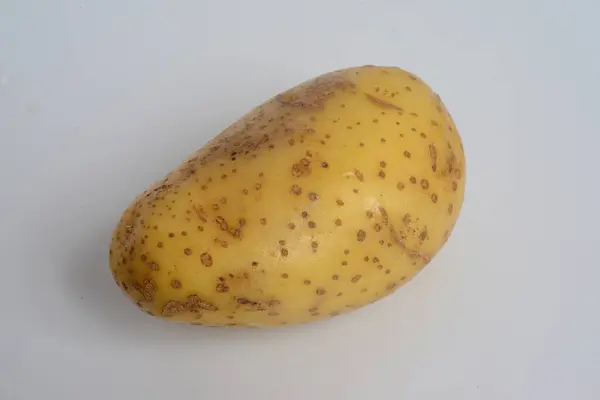 Batata Vegetal Radicular Nativo Das Américas Tubérculo Amiláceo Planta Solanum — Fotografia de Stock