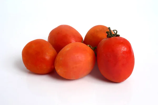 Tomate Solanum Lycopersicum Planta Com Flor Família Solanaceae Cultivada Extensivamente — Fotografia de Stock