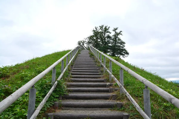 Σκάλα Πάνω Στο Πράσινο Λόφο — Φωτογραφία Αρχείου