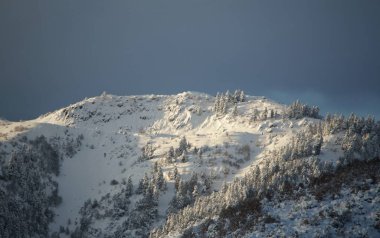 Kışın beyaz dağların zirvesinde