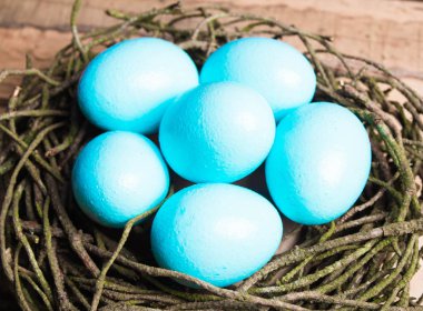 Paskalya yumurta yuvada ahşap zemin üzerine mavi.