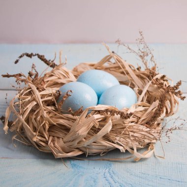 Paskalya yumurta yuvada ahşap zemin üzerine mavi.