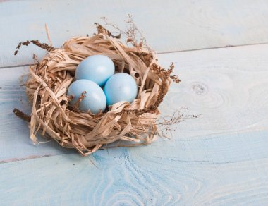 Paskalya yumurta yuvada ahşap zemin üzerine mavi.