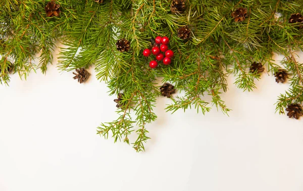 Fondo Navidad Año Nuevo Ramas Abeto Bayas Rojas Conos Sobre —  Fotos de Stock