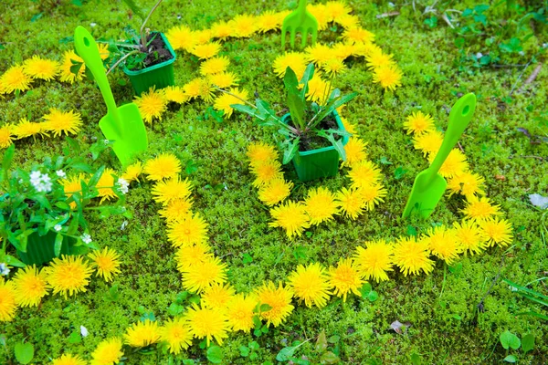 Labirinto Dentes Leão Com Ferramentas Jardinagem Gramado Verde — Fotografia de Stock