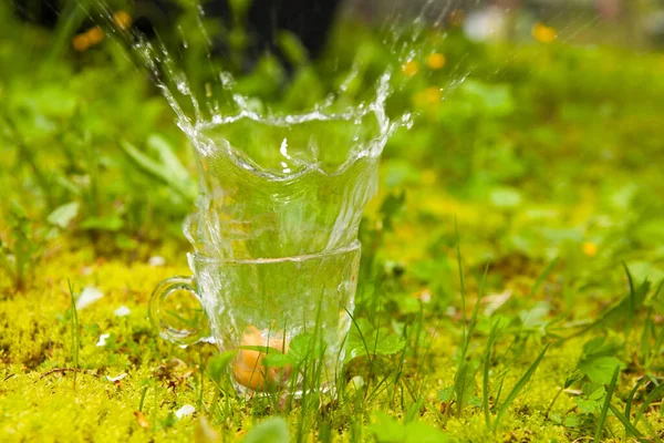 緑の草の上に水を撒くカップ ロイヤリティフリーのストック写真