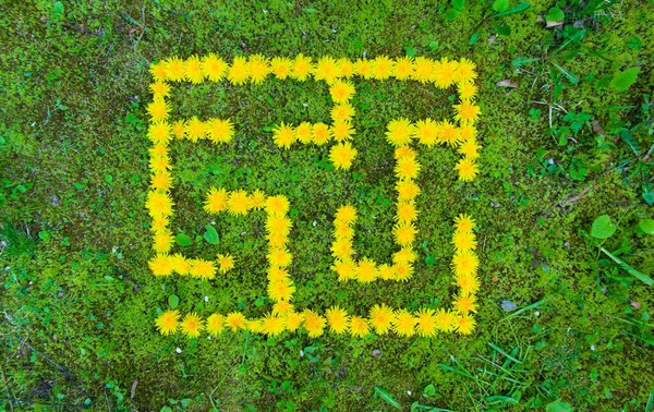 緑の芝生の上で黄色いタンポポの迷路の上からの眺め ストック画像
