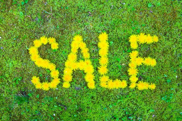 緑の芝生の上で黄色のタンポポで作られた販売レタリング ストック画像