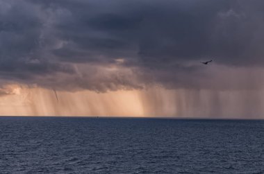 Kara Deniz 'in üzerinde bir kasırganın doğuşu. Novorossiyski. Shirokaya Köyü Balka