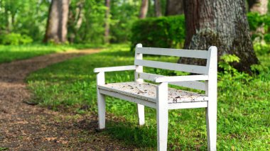 Şehir parkındaki eski ahşap bank. Yağmur sonrası sokak, seçici odak, gün ışığı.