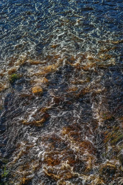 Rio Rochoso Com Corrente Rápida Fluxo Fundo Rochoso Correntes Água — Fotografia de Stock