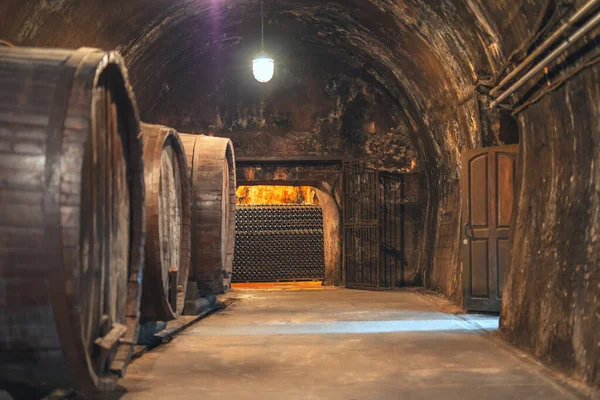 古い大きなオーク樽でワインセラー ブドウ栽培 ストック写真