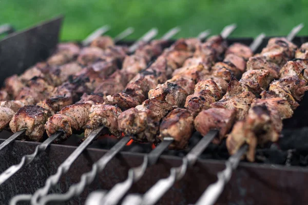 Ready Shish Kebab Pork Grill Natural Lighting — Stock Photo, Image