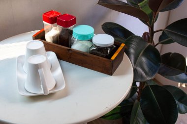 Köşedeki ev dekorunda sabahları Hint kauçuk ağaçlarıyla kahve içeriz. Hava arındırıcı ağaç. Evi kauçuk fabrikasıyla süslemek.