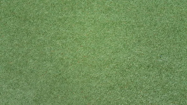yapay yeşil çim alan doku arka plan